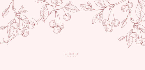 Cherry fruit. Summer background with berry and brunch. Detailed hand drawn ink floral illustration for invitation, wallpaper art or save the date © merfin