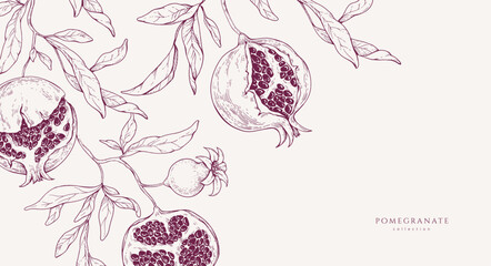 Plakat Background with pomegranate brunch and leaves. Detailed hand drawn ink illustration for template layout design, brochure or cover for food card