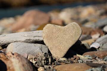 Obraz premium Natural beige river stone shaped like a heart lying on a rocky riverbank in bright sunlight with a blurred background of a mountain river. Symbol of love created by nature.