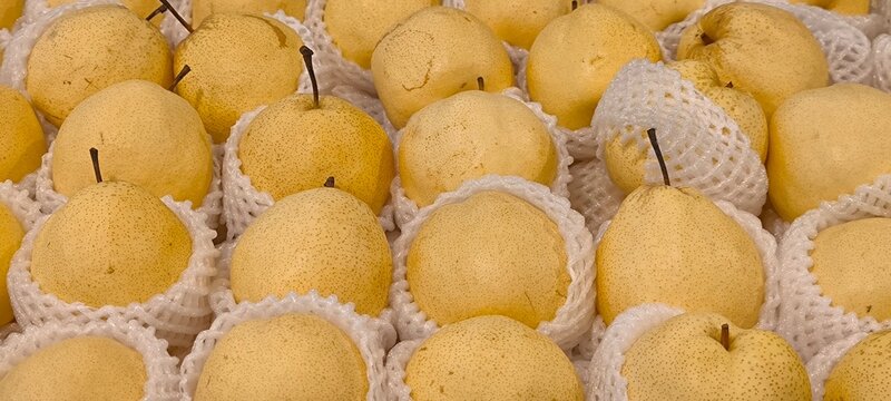 Asian pears also known as Chinese pears Japanese pears or apple pears.