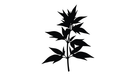 A striking black silhouette of a leafy plant stem with multiple branches and verdant foliage silhouette high quality professional © ArtBySalea07