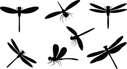 Dragonfly silhouettes in various positions with detailed wings, natural insect forms, and stylized designs for art and decoration © Hello There