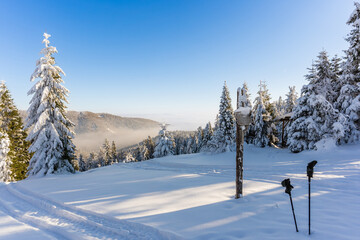 Łapsowa Polana winter ski trail, Gorce Mountains, Poland  © Snowboy