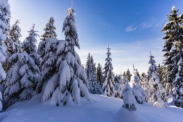 Łapsowa Polana winter ski trail, Gorce Mountains, Poland  © Snowboy