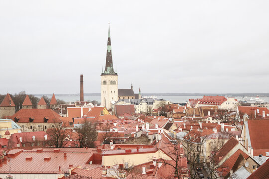 Aerial view of the striking St. Olaf's Church spire piercing the skyline above a sea of red-tiled roofs, Tallinn, Harju County, Estonia.