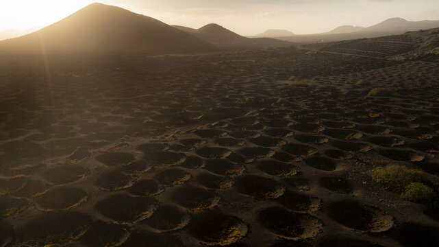 Aerial view of the landscape is etched with circular vineyards, contrasting dark earth against the golden light of the setting sun, La Geria, Canarias, Spain.
