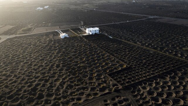 Aerial view of the unique circular vineyards contrasting against the dark volcanic soil, with white buildings scattered, La Geria, Canarias, Spain.