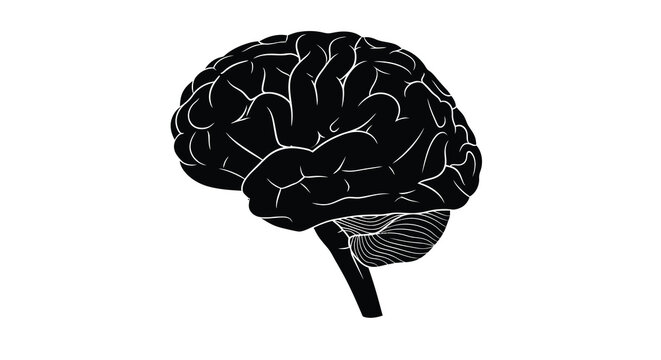 A stark black depiction of a human brain showcasing intricate convolutions and neurological structures as a silhouette high quality
