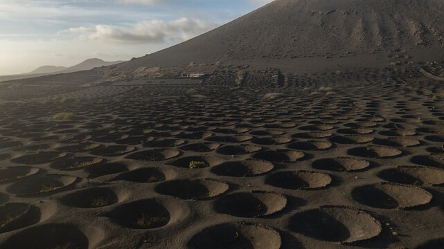 Aerial view of the unique, dark volcanic soil dotted with circular pits for grape vines near a volcanic cone, La Geria, Canarias, Spain.
