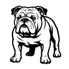 Fototapeta premium Majestic English Bulldog Illustration: A Stunning Black and White Vector Art Depicting the Noble Canine Breed, Perfect for Animal Lovers, Dog Owners, and Graphic Designers Seeking a Powerful and Iconi