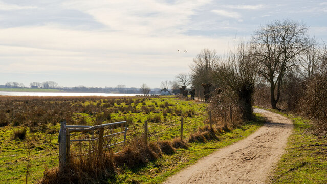 Schlei