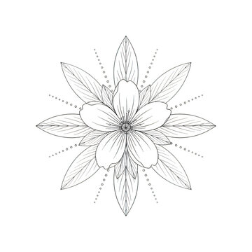 A black and white snowflake with intricate patterns isolated on transparent background