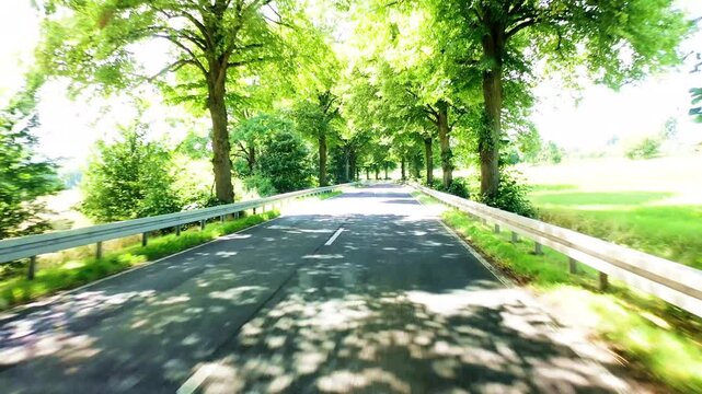 Eine malerische Landstra&szlig;e f&uuml;hrt durch eine dichte Allee mit hohen, gr&uuml;nen B&auml;umen, deren Bl&auml;tterdach einen nat&uuml;rlichen Tunnel bildet. Leitplanken s&auml;umen den asphaltierten Weg im Sonnenlicht.