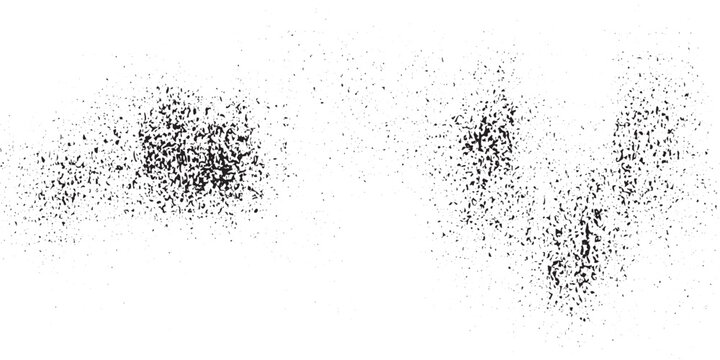 Thyroid Scan Revealing Glandular Activity and Potential Nodules.