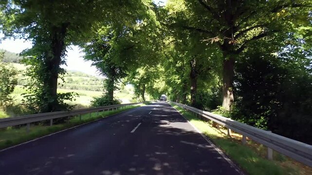 Eine malerische Landstra&szlig;e f&uuml;hrt durch eine dichte Allee mit hohen, gr&uuml;nen B&auml;umen, deren Bl&auml;tterdach einen nat&uuml;rlichen Tunnel bildet. Leitplanken s&auml;umen den asphaltierten Weg im Sonnenlicht.