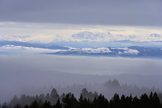 Fog over Lake Zug in the foreground the village of Cham, behind the snow-covered Alps with the Fl&uuml;brig and Vrenelisg&auml;rtli mountains. Beinwil, Freiamt, Horben, Lindenberg, Canton of Aargau, Switzerland