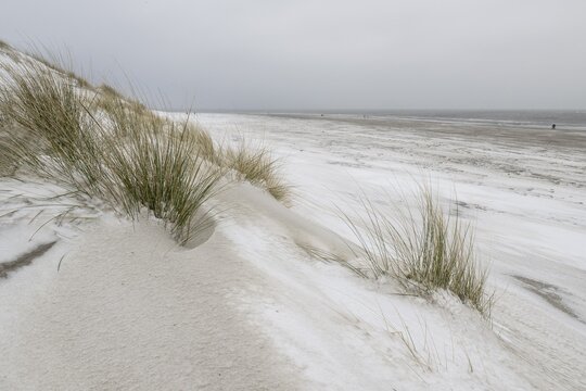Snow-covered dunes on the North Sea beach, Langeoog, Lower Saxony, Germany