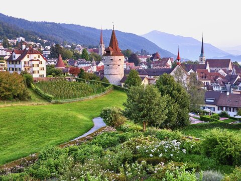 Rose Garden behind Capuchin Tower, Church, Old Town and Rigi, Zug, Canton Zug, Switzerland