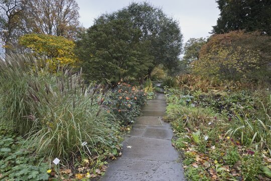 Perennial bed with grasses, Berggarten Hannover, Lower Saxony, Germany