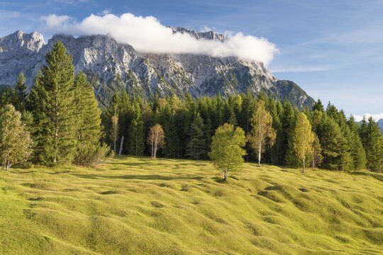 Buckelwiesen between Mittenwald and Kr&uuml;n, Werdenfelser Land, Upper Bavaria, Bavaria, Germany