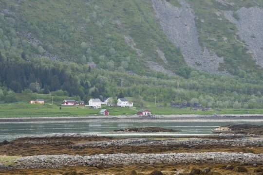 Landscape by the fjord, Barstrand, Lofoten, Norway