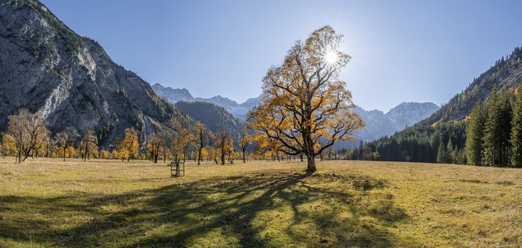 Panorama, sun star, Karwendel, Gro&szlig;er Ahornboden in autumn, yellow sycamore maple, Ri&szlig;tal in der Eng, Tyrol, Austria