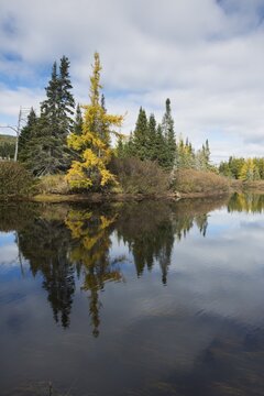 River Landscape in Parc des Grands Jardins, Canada