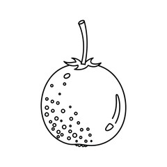 Obraz premium Orange Fruit Line Art Fresh Citrus Outline for Coloring and Logo Use Line Art Vector illustration