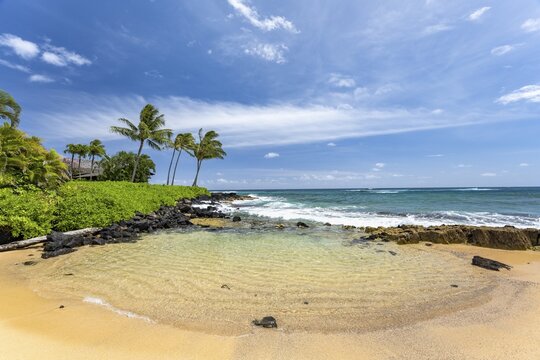 Palm trees on Keiki Cove Beach, Kauai, Hawaii, USA