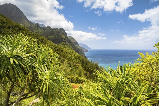 View of the Nā Pali Coast from the Kalalau Trail, Napali Coast, Kauai, Hawaii, USA