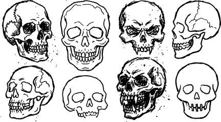 Fototapeta premium Tattoo flash skull set eight hand drawn skull faces various angles snarling profile three quarter front flat line art aggressive