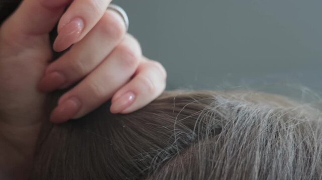 Close up of a hand gathering dark hair into a ponytail for hair extension preparation