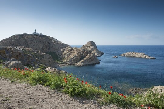 Peninsula with lighthouse, Ile Rousse, Corsica, France