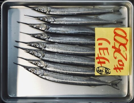 Small fish for sale in a metal bowl, display of a fish stall, Tokyo, Japan