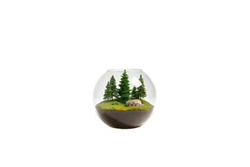 Miniature forest with pine trees, green grass, and a rock inside a clear glass terrarium. Preserving nature and ecology