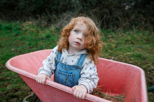 A curly red-haired girl in a red wheelbarrow in rural Ireland 