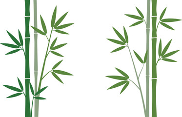 Minimalist bamboo stems with green leaves vector illustration, modern botanical background, natural Asian inspired plant design artwork