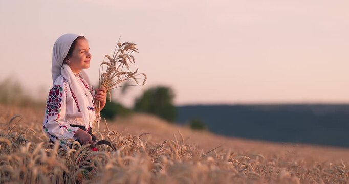 Bulgarian girl in ethnic folklore bulgarian costume hold golden wheat straws and sickle in harvest field, harvesting and agriculture Bulgaria
