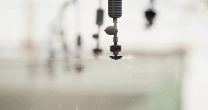 Sprinkler System Overhead Watering Seedlings in Greenhouse for Healthy Crops and Growth