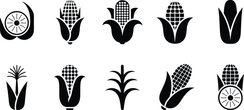 Black and white corn icons set, minimalist maize vector silhouettes featuring cob husk grain agriculture symbol collection