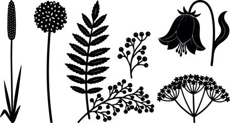 Fototapeta premium Flat design botanical silhouettes set of wildflowers fern berries bellflower seed head stems isolated black vector minimalist clipart collection art