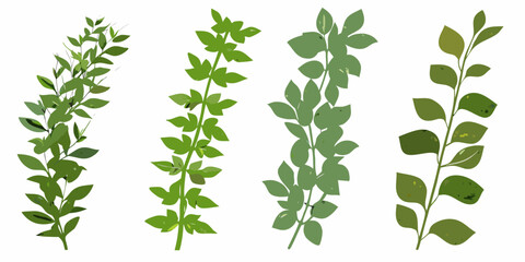 Four vertical arrangements of green leaves against a white background © Raju