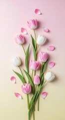 Obraz premium A bouquet of pink and white tulips on a pink background