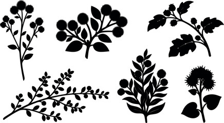 Fototapeta premium Flat silhouette botanical branch collection showing six burr seed head shapes on white background close up isolated minimal vector art