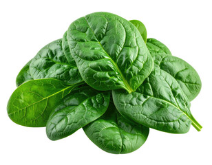 Fototapeta premium A fresh, vibrant pile of healthy green spinach leaves