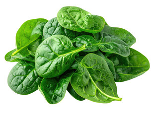 Fototapeta premium Fresh, vibrant green spinach leaves piled high, showcasing natural texture and healthy appearance