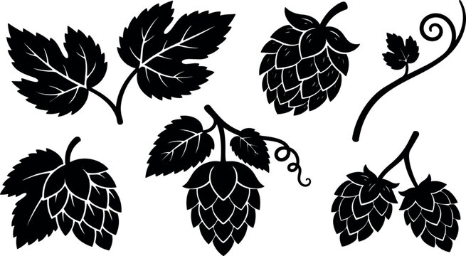 Vector hop cone and vine silhouettes close up set of brewery hop leaves and cones minimalist flat black isolated studio
