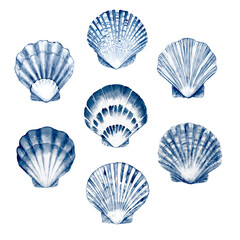 Blue Watercolor Seashell Set &ndash; Hand Painted Coastal Collection
