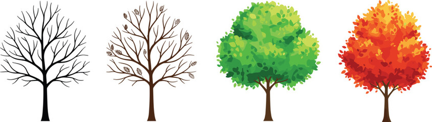 Set of seasonal tree vector illustrations featuring black silhouette bare winter branch autumn maple with red leaves and green summer oak isolated on white background