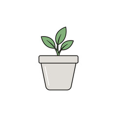 Fototapeta premium Small Green Plant in White Pot.